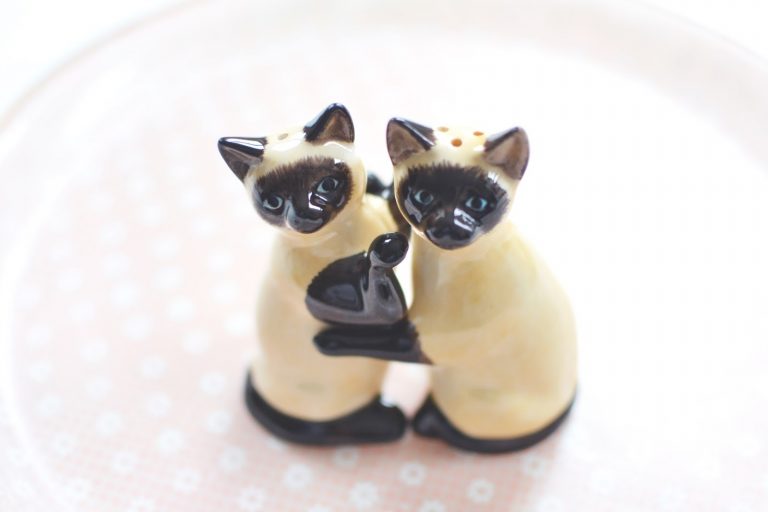 For The Home : Quirky Cat Themed Items